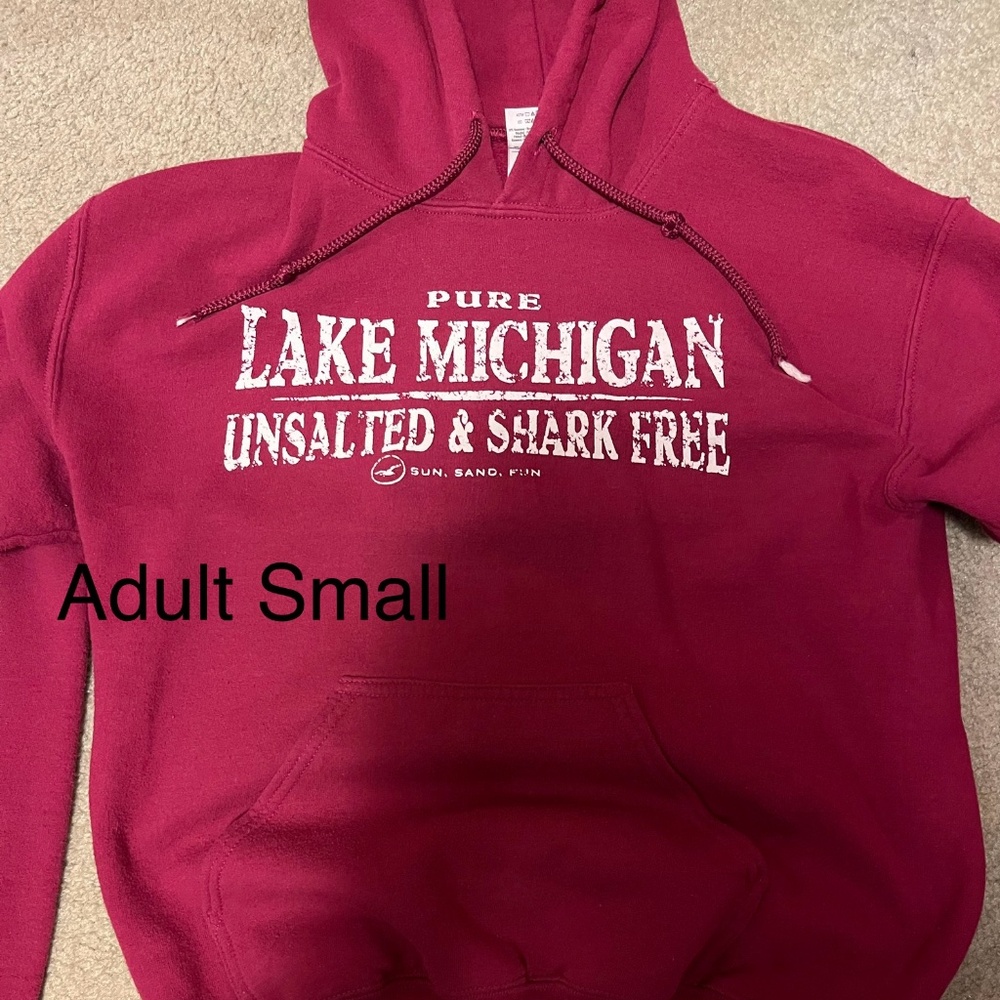 Michigan hoodie